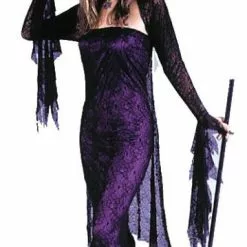Black Widow Witch Adult Costume