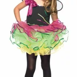 Fairy Costume