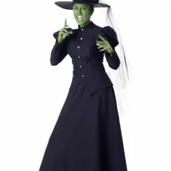 Wicked Witch Adult Costume