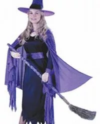 Shimmering Witch Adult Costume
