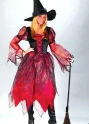 Autumn Witch Adult Costume