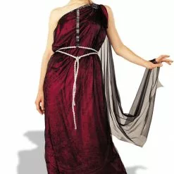 Bride Of The Vampire Costume